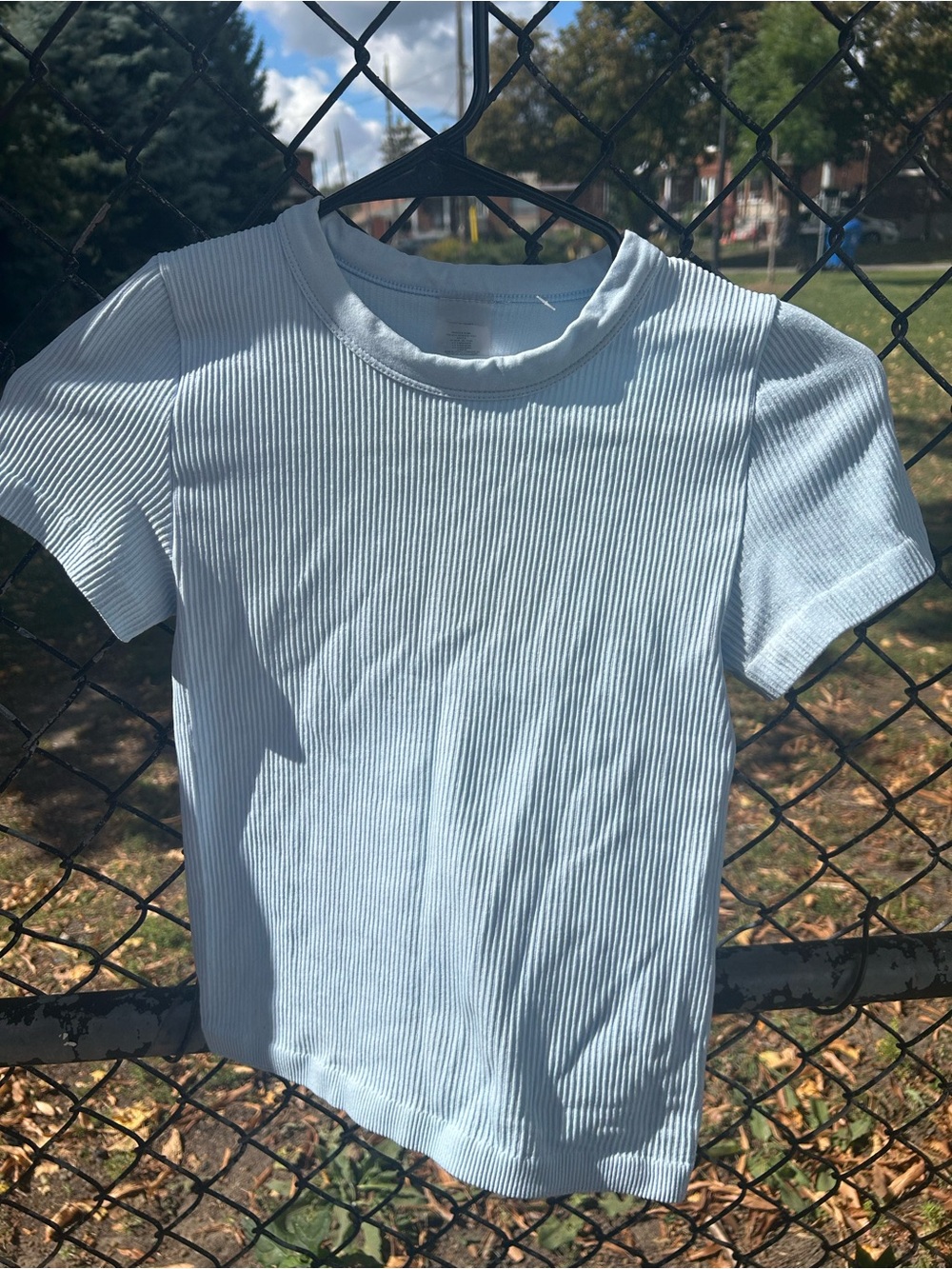 Aritzia Sunday Best SinchSeamless Ribbed Tee Baby Blue XS